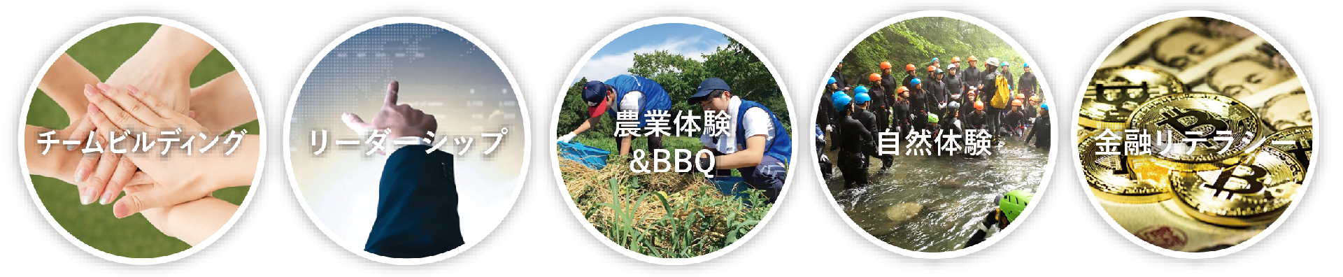 幅広いカリキュラム